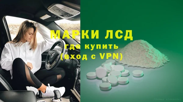 амф Гусев
