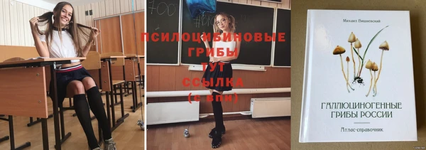 марки lsd Вяземский