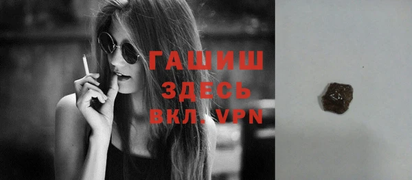 амф Гусев