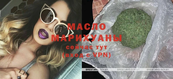 амф Гусев