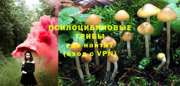 марки lsd Вяземский