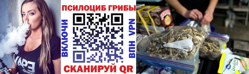 Купить где  Сураж  Псилоцибиновые грибы прущие грибы 